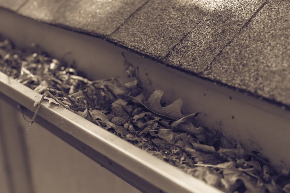 Rockland Gutter Cleaning