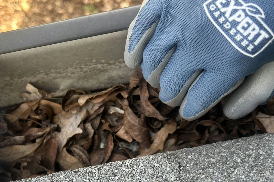Rockland Gutter Cleaning